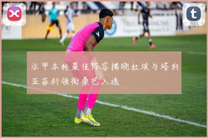 法甲本轮最佳阵容揭晓杜埃与塔利亚菲科领衔桑巴入选