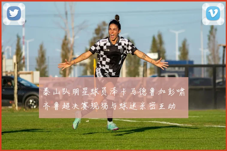 泰山队明星球员泽卡马德鲁加彭啸齐鲁超决赛现场与球迷亲密互动