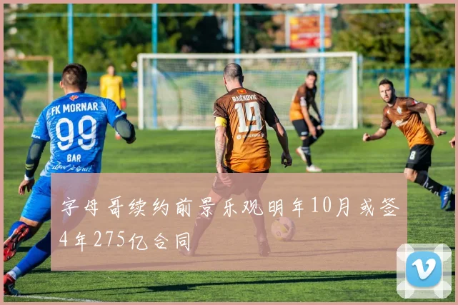 字母哥续约前景乐观明年10月或签4年275亿合同