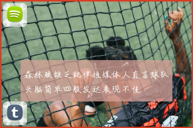 森林狼缺乏纪律性媒体人直言球队头脑简单四肢发达表现不佳