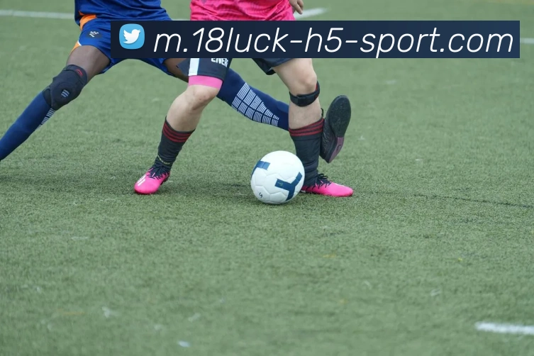 18新利体育发展历程